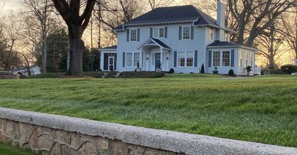 Common Lawn Diseases in Charlotte, NC